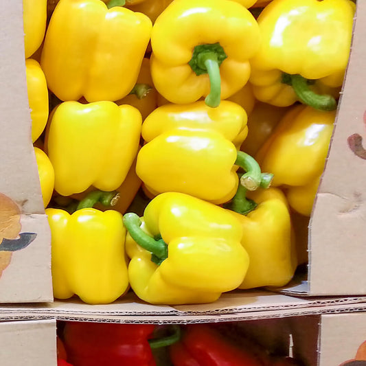 Papryka zolta - paczka. 10,40 zl/kg