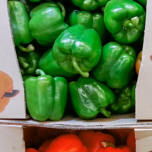 Papryka zielona - paczka. 9,40 zl/kg