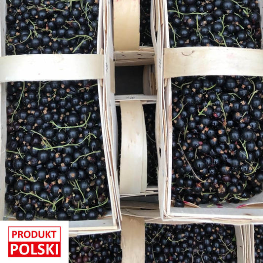 Porzeczka czarna - koszyk 2kg. 22,90 zl/kg